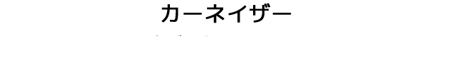 カーネイザー